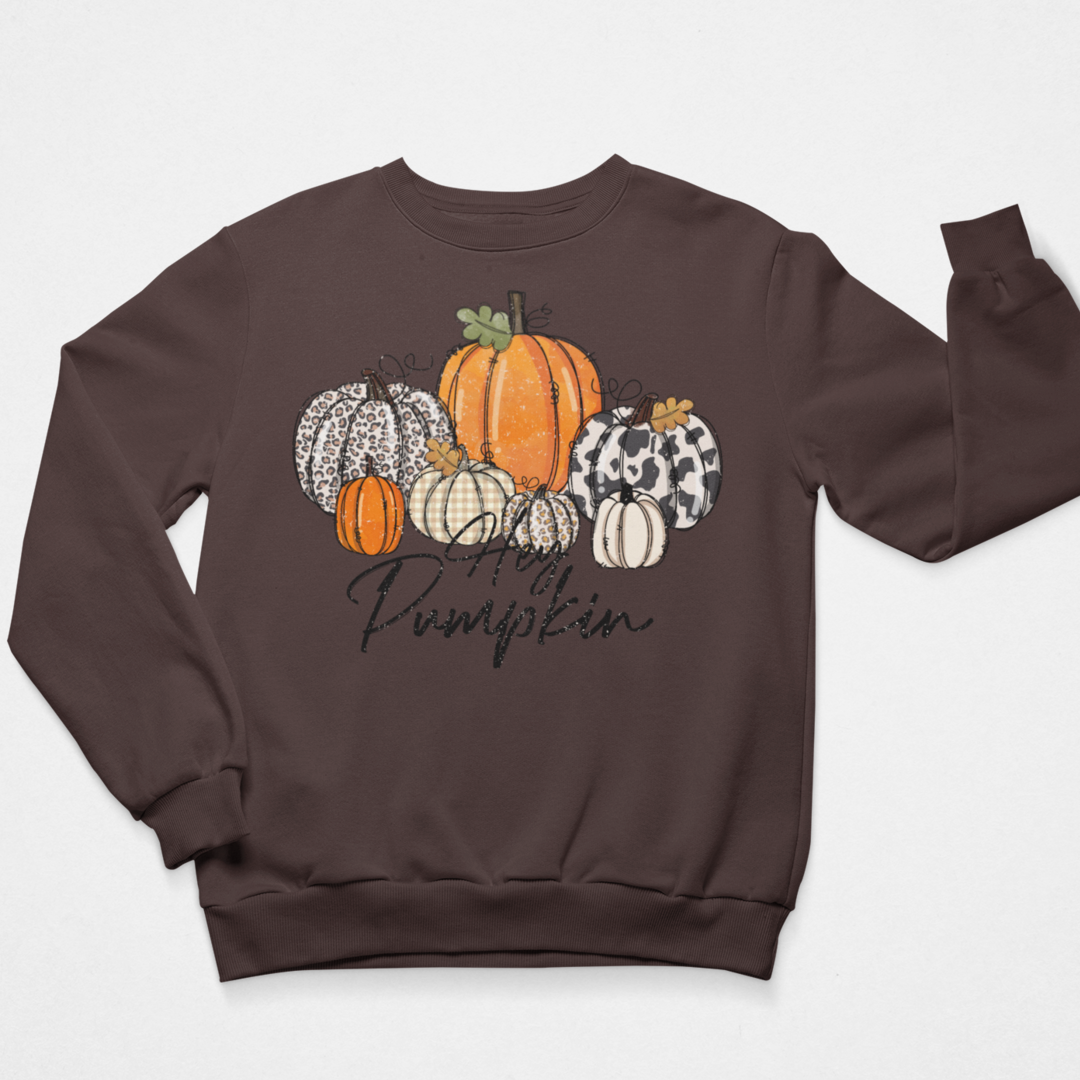 Hey Pumpkin Graphic Sweatshirt