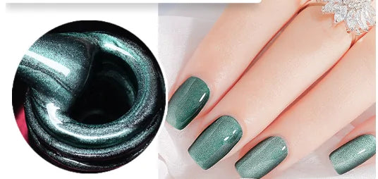 4D Magnetic Nail Polish